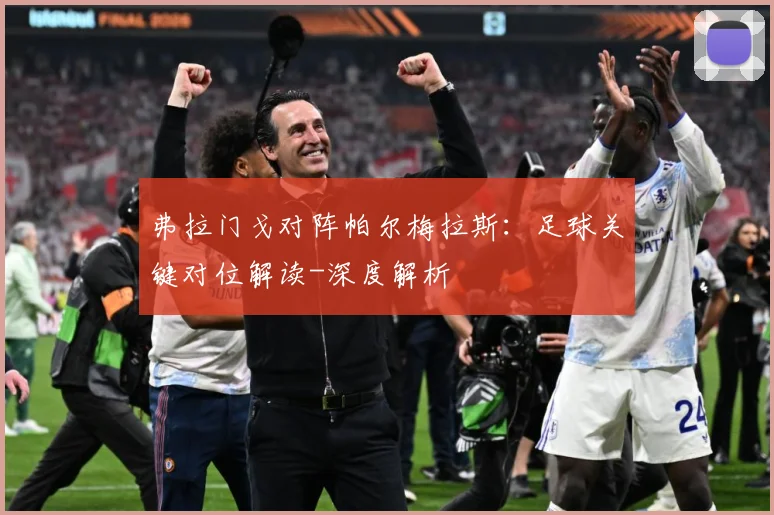 弗拉门戈对阵帕尔梅拉斯：足球关键对位解读-深度解析