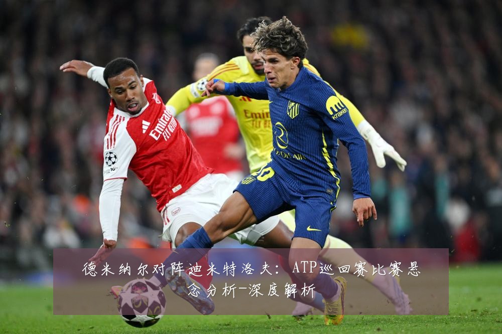 德米纳尔对阵迪米特洛夫：ATP巡回赛比赛悬念分析-深度解析