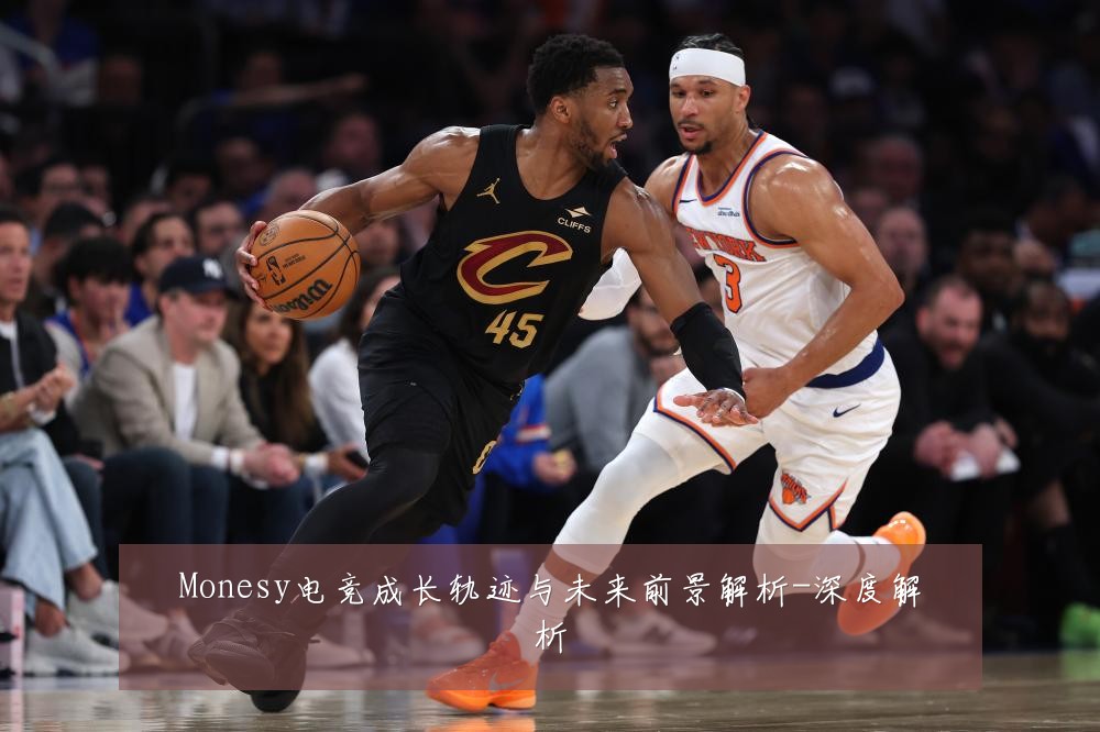 Monesy电竞成长轨迹与未来前景解析-深度解析