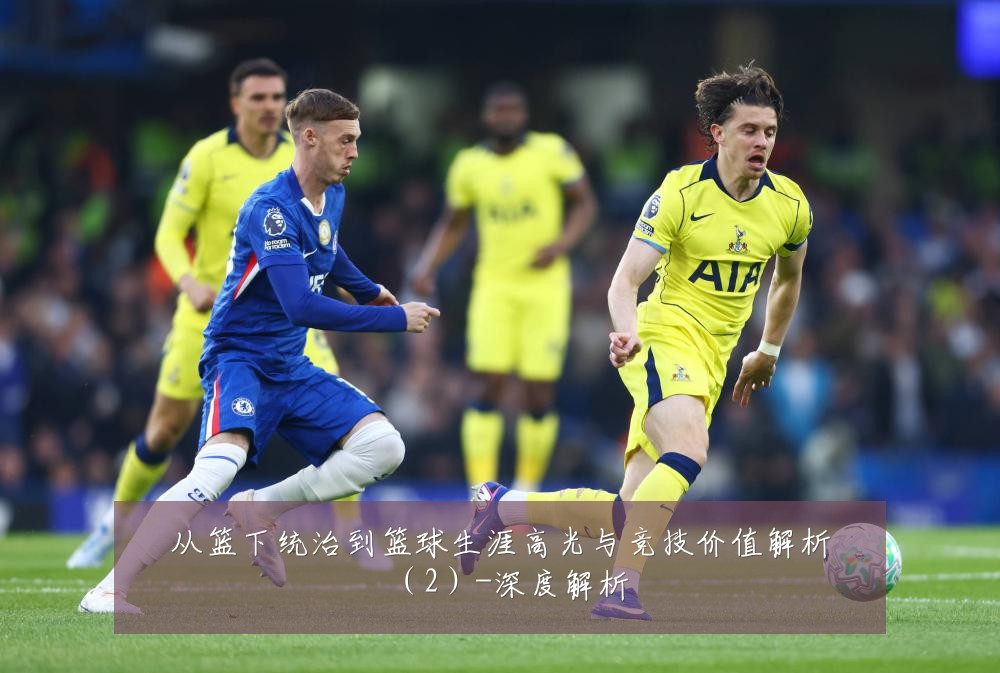 从篮下统治到篮球生涯高光与竞技价值解析（2）-深度解析